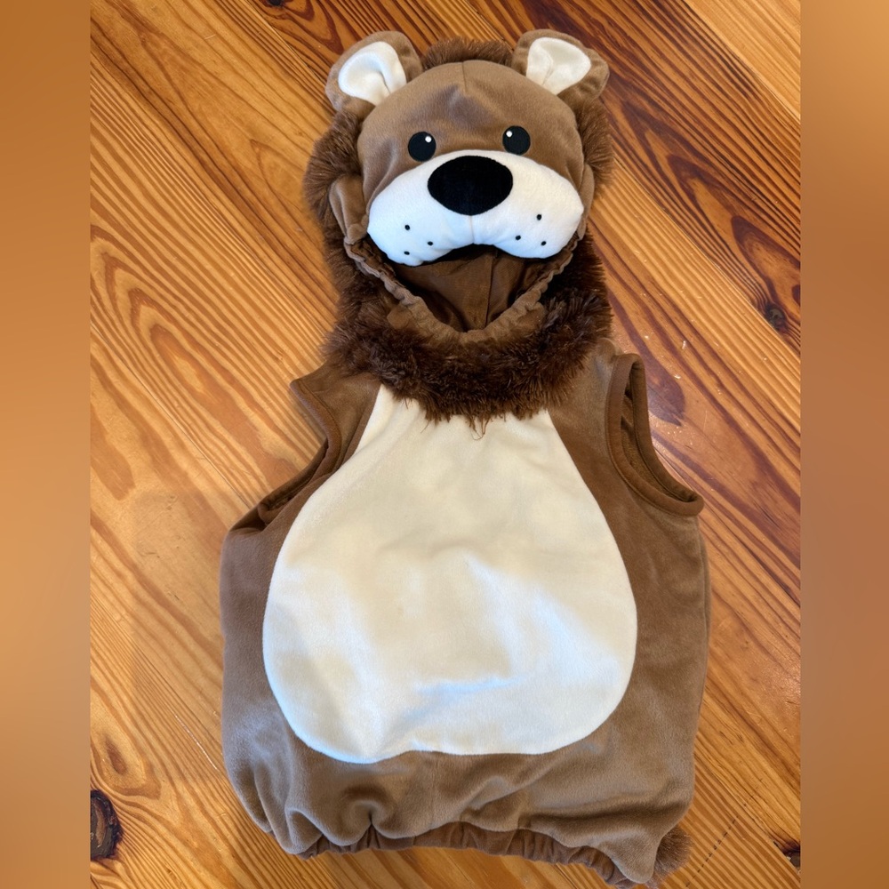 Bear costume, 9-12 months